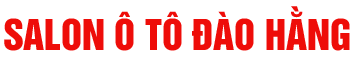 Oto Dao Hang